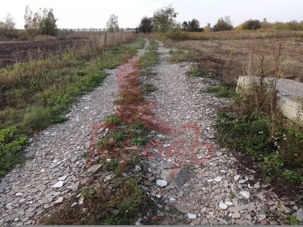 Участок в Орловская область, Орловский район, с. Сабурово ул. ... - Фото 1