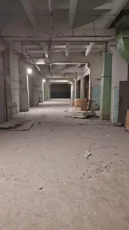 Производственное помещение в Ленинградская область, Ломоносовский ... - Фото 1