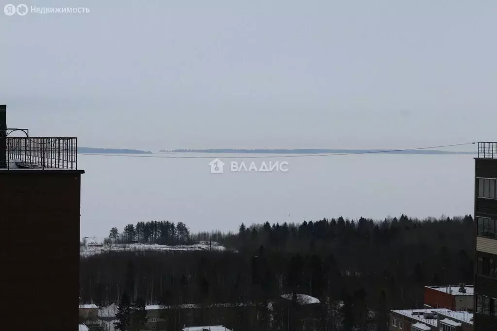 1-комнатная квартира: Петрозаводск, улица Петрова, 19 (33.8 м) - Фото 2