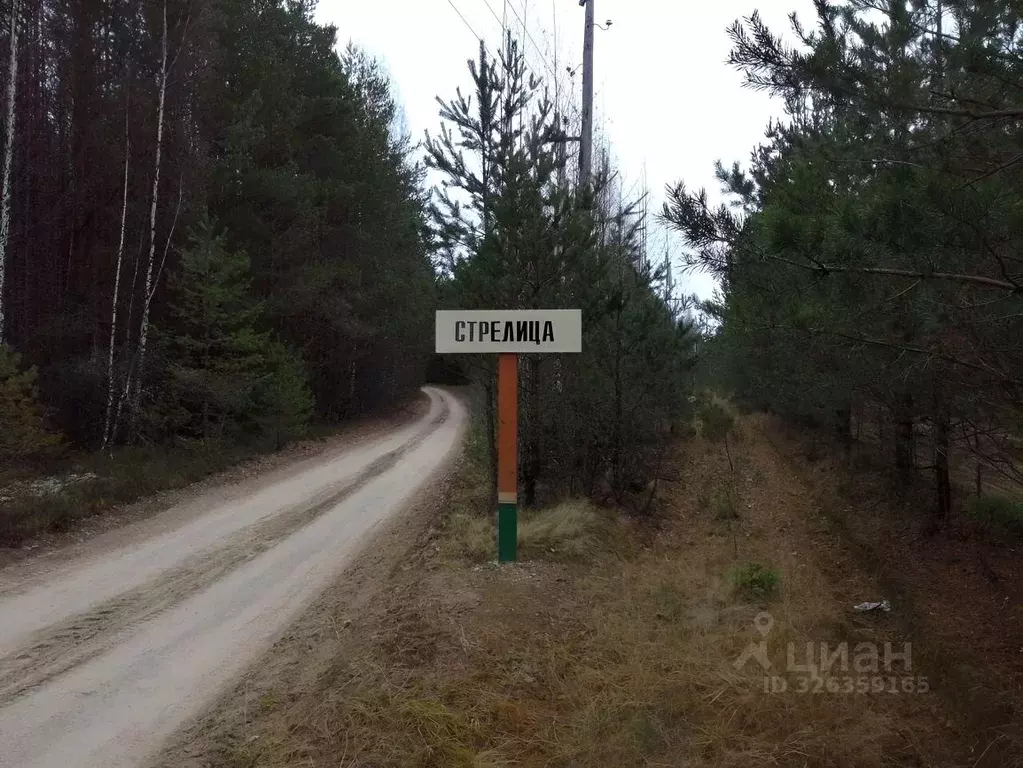 Участок в Тверская область, Весьегонский район, д. Стрелица  (9.0 ... - Фото 2