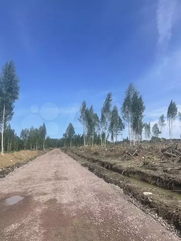 Участок 6 сот. (СНТ, ДНП) - Фото 1