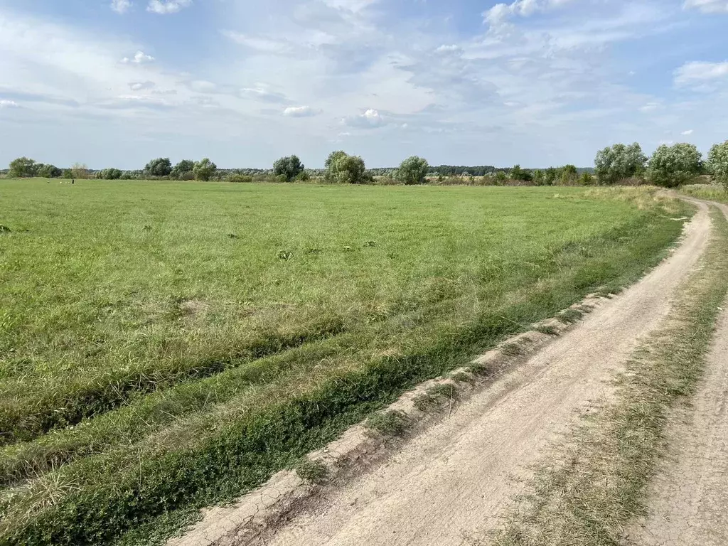 Участок 20 га (СНТ, ДНП) - Фото 0