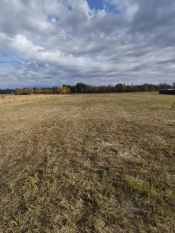 Участок в Краснодарский край, Ейский район, Должанская ст-ца ул. ... - Фото 1