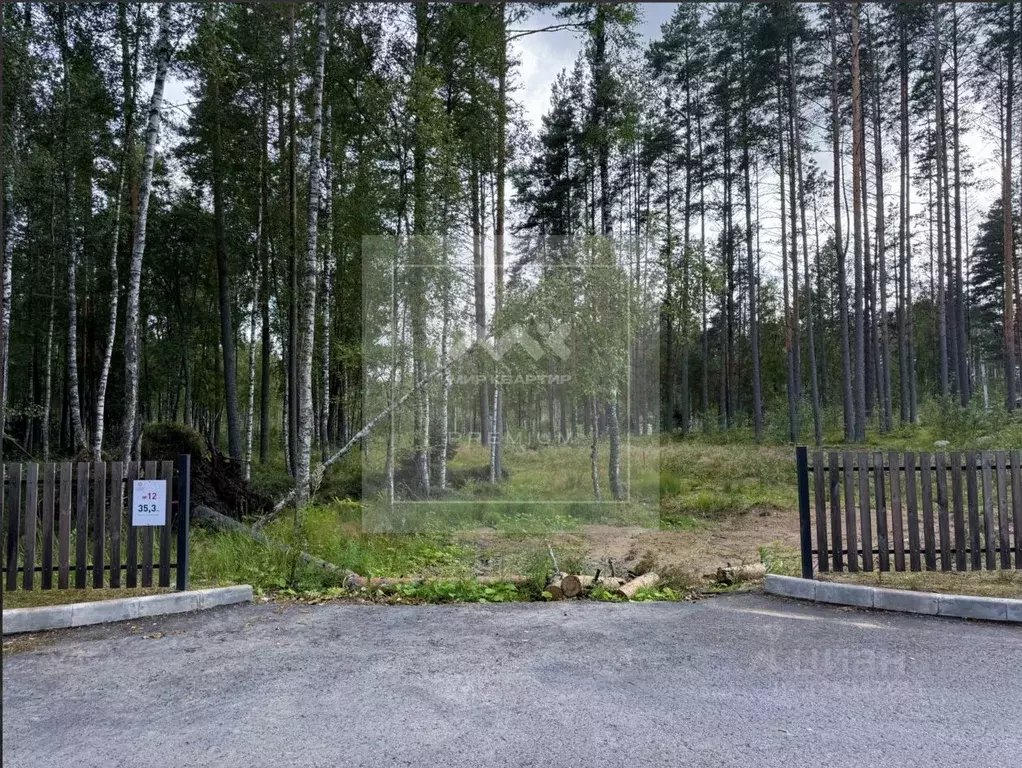 Участок в Ленинградская область, Приозерский район, Раздольевское ... - Фото 0