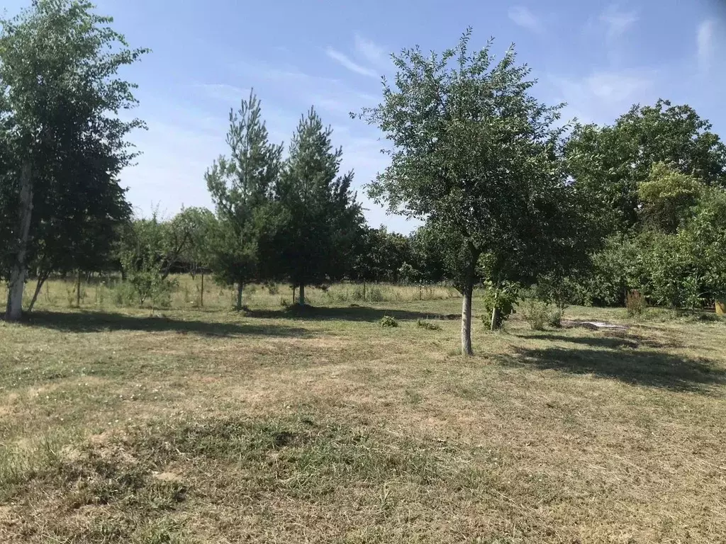 Участок в Краснодарский край, Белореченск пл. Центральная (10.0 сот.) - Фото 1