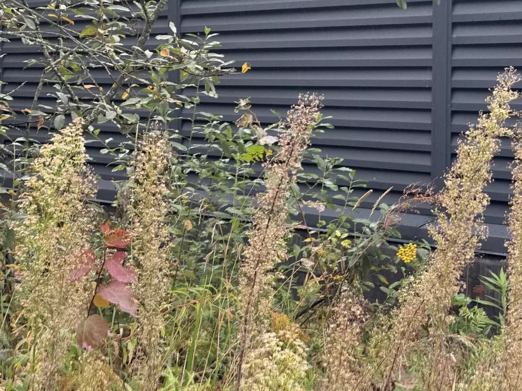 Участок в Брянская область, Брянский район, Нетьинское с/пос, д. ... - Фото 1