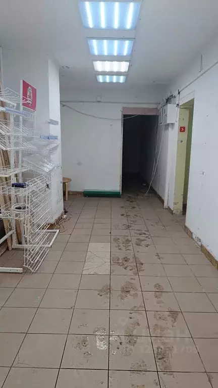 Помещение свободного назначения в Московская область, Одинцово ул. ... - Фото 2