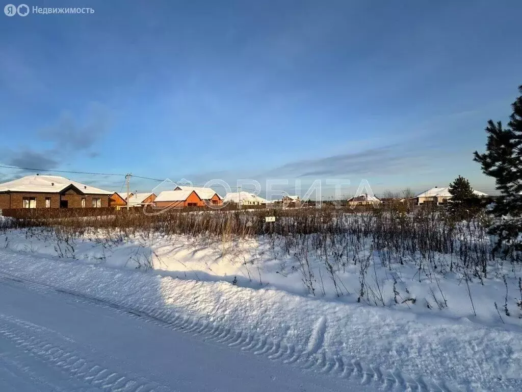 Участок в Тюменский муниципальный округ, село Успенка (5.8 м) - Фото 2