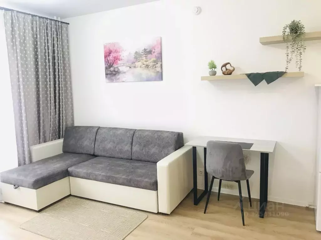 Студия Московская область, Одинцово ул. Каштановая, 9 (22.0 м) - Фото 2