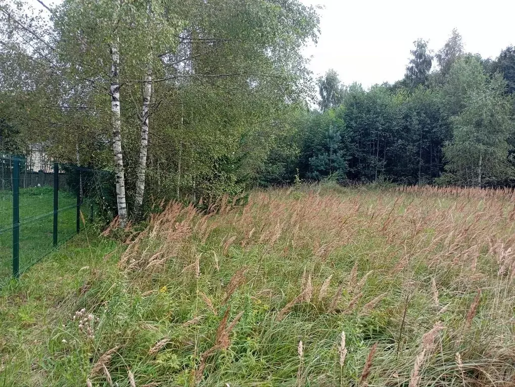 Участок в Московская область, Талдомский городской округ, д. Маклаково ... - Фото 2