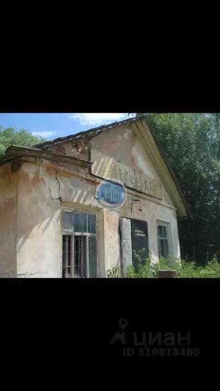 Торговая площадь в Московская область, Кашира городской округ, д. ... - Фото 1