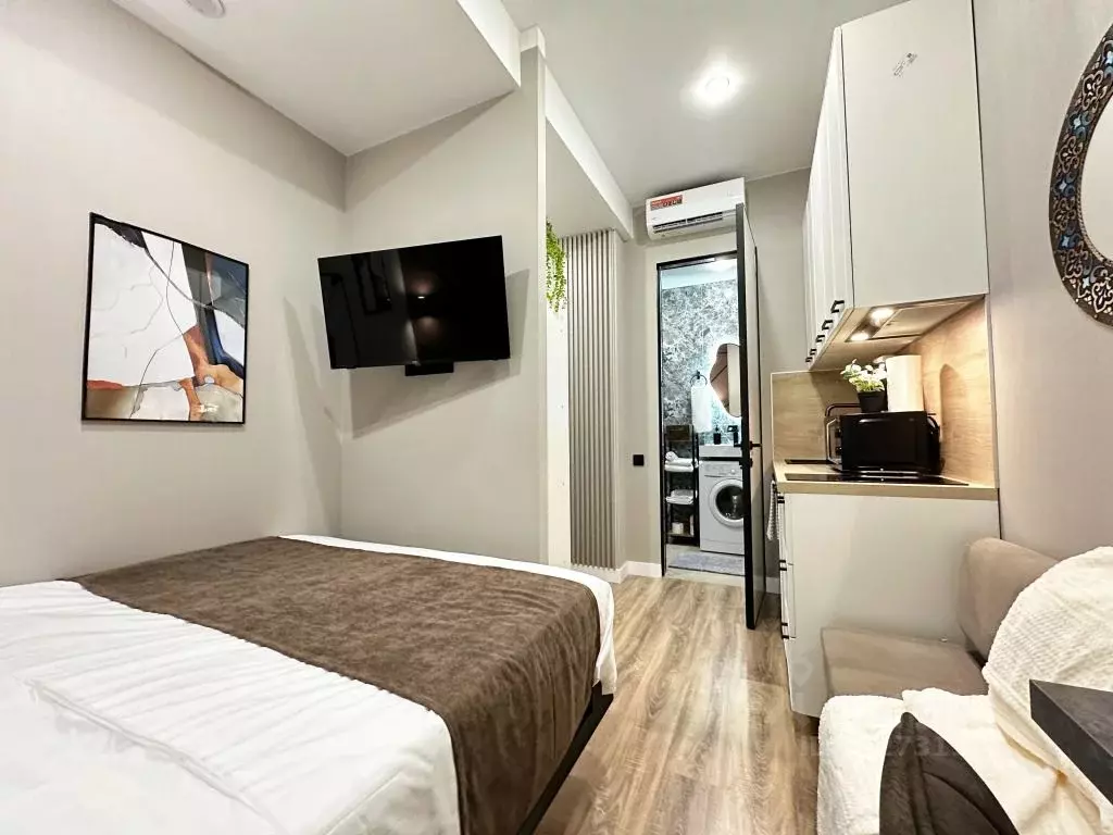 1-к кв. Татарстан, Казань ул. Карла Маркса, 5 (17.0 м) - Фото 2