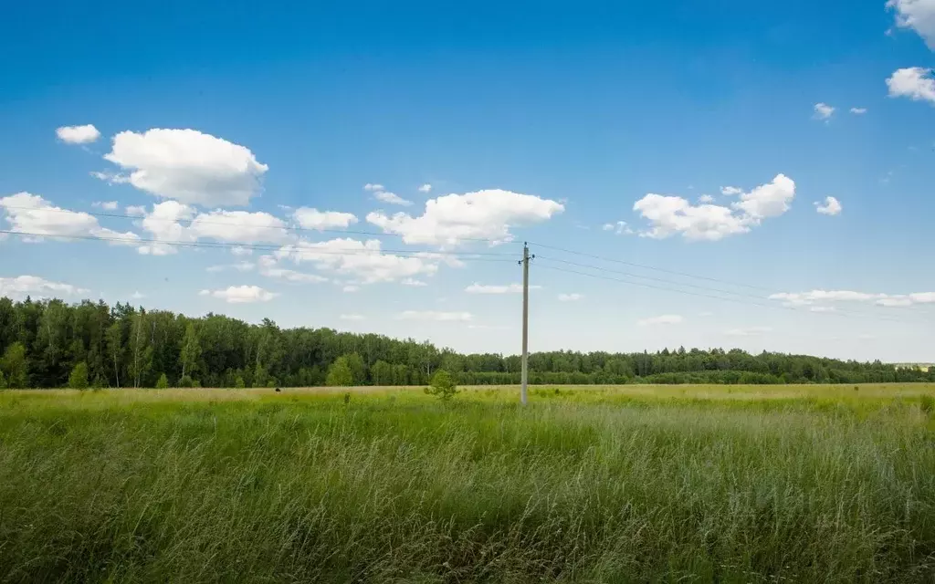 Участок в Московская область, Ступино городской округ, с. Починки  ... - Фото 1