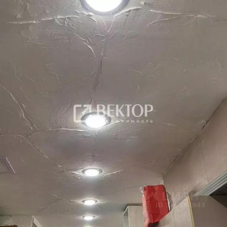 2-к кв. Ивановская область, Иваново ул. Кирякиных, 5 (42.5 м) - Фото 1