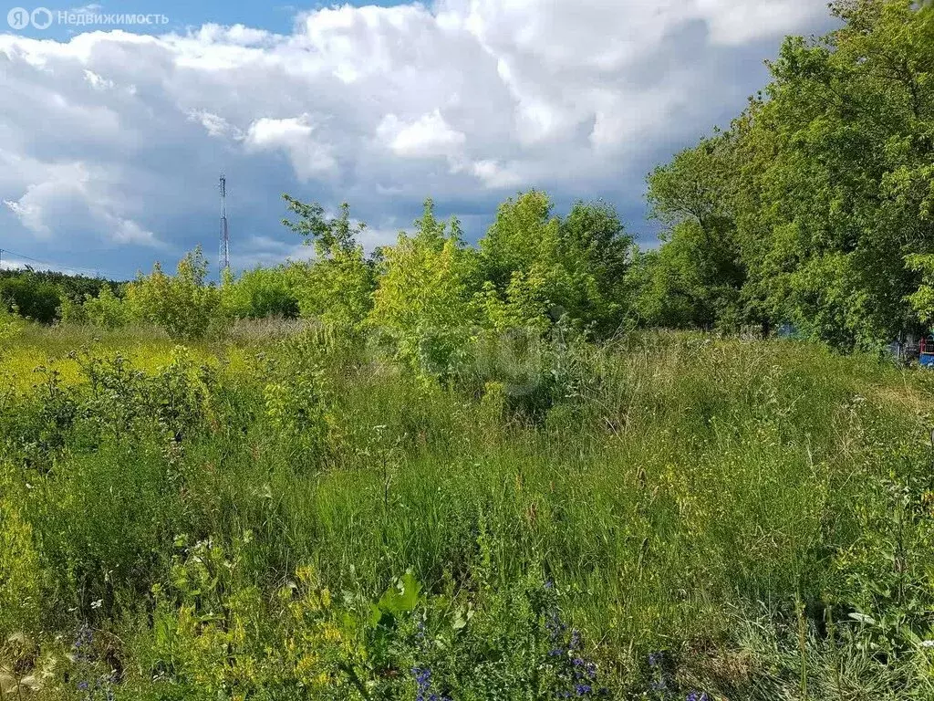 Участок в Челябинская область, Сосновский муниципальный округ, посёлок ... - Фото 2