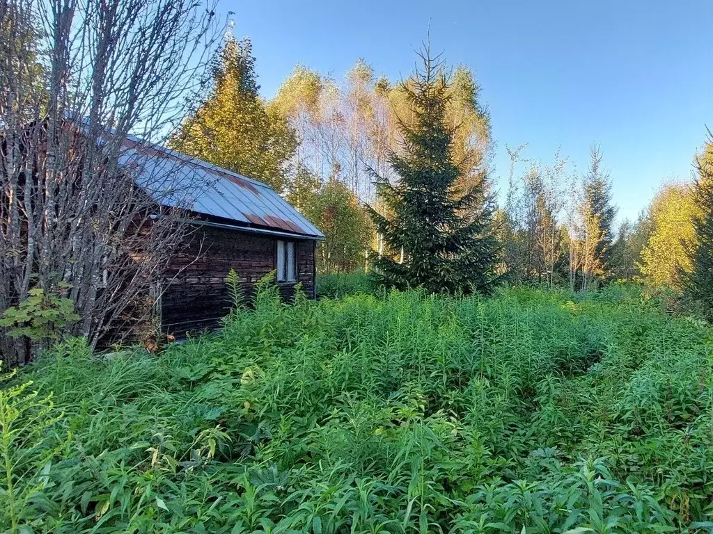 Дом в Московская область, Можайский муниципальный округ, д. ... - Фото 1