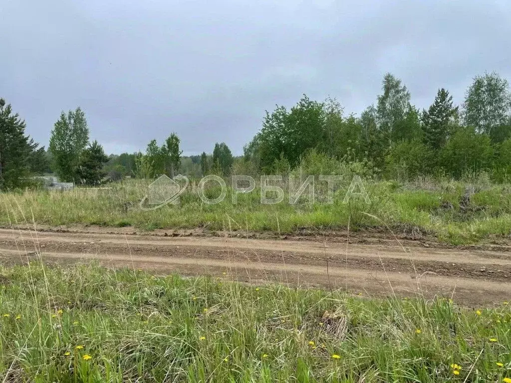 Участок в Тюменская область, Нижнетавдинский район, с. Тюнево  (17.02 ... - Фото 2