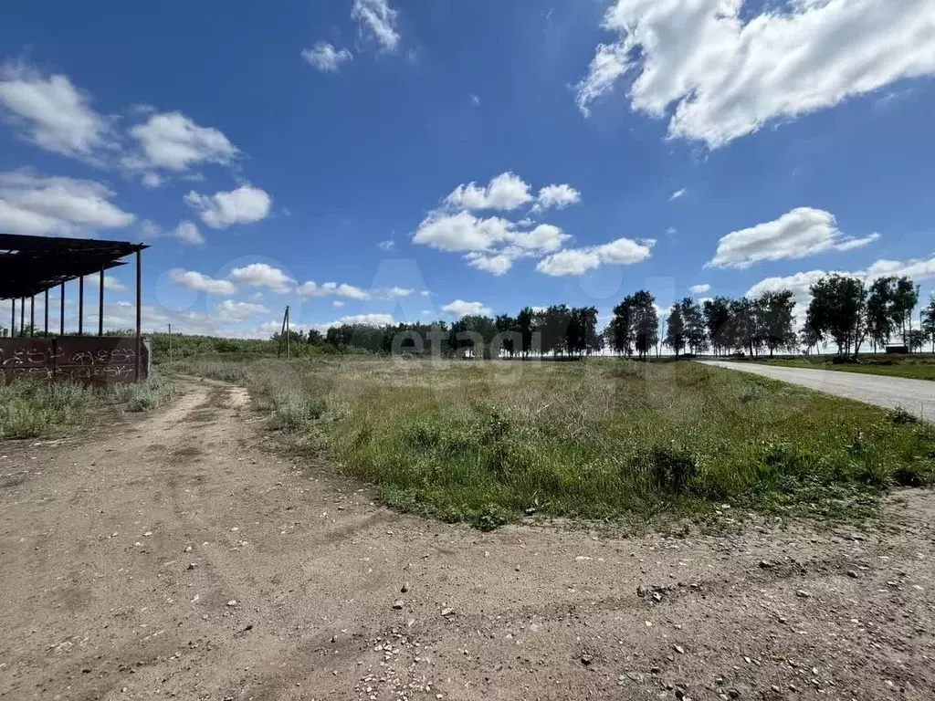 Участок 4,63 га (СНТ, ДНП) - Фото 0