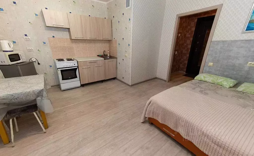 Студия Челябинская область, Магнитогорск ул. Вознесенская, 11 (26.0 м) - Фото 2