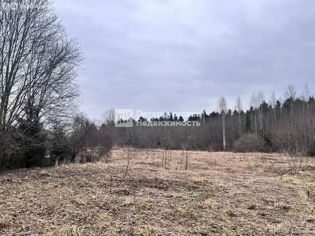 Участок в Ленинградская область, Гатчинский муниципальный округ, ... - Фото 2