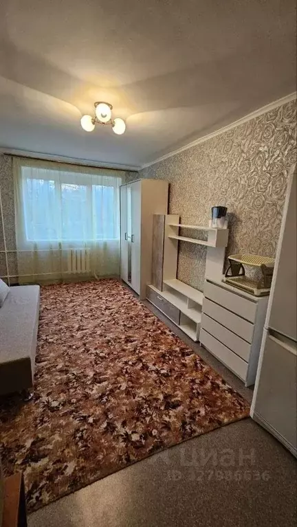 Комната Краснодарский край, Новороссийск ул. Толстого, 31 (12.0 м) - Фото 1