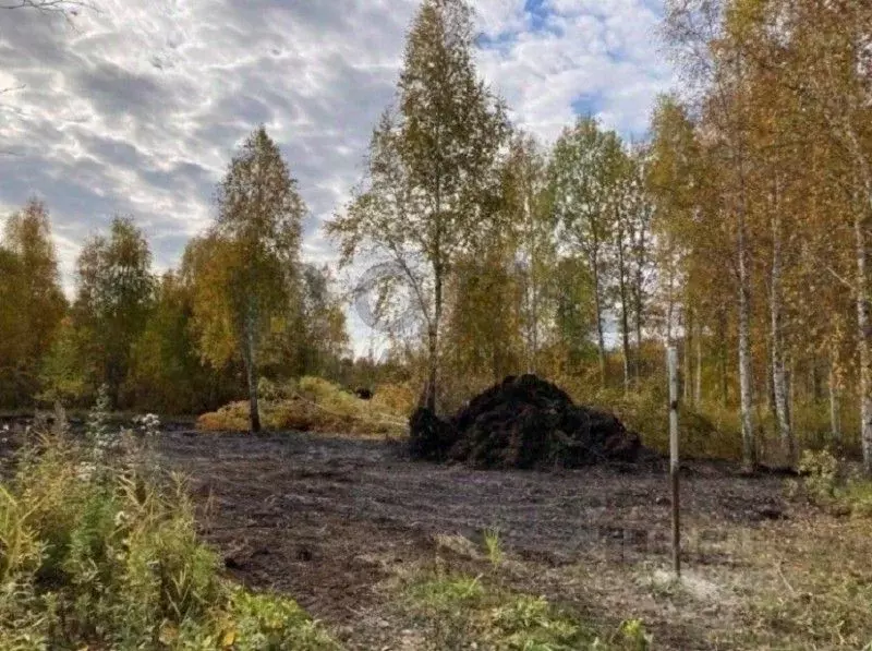 Участок в Тюменская область, Тюмень Тюменский-1 мкр,  (20.0 сот.) - Фото 1
