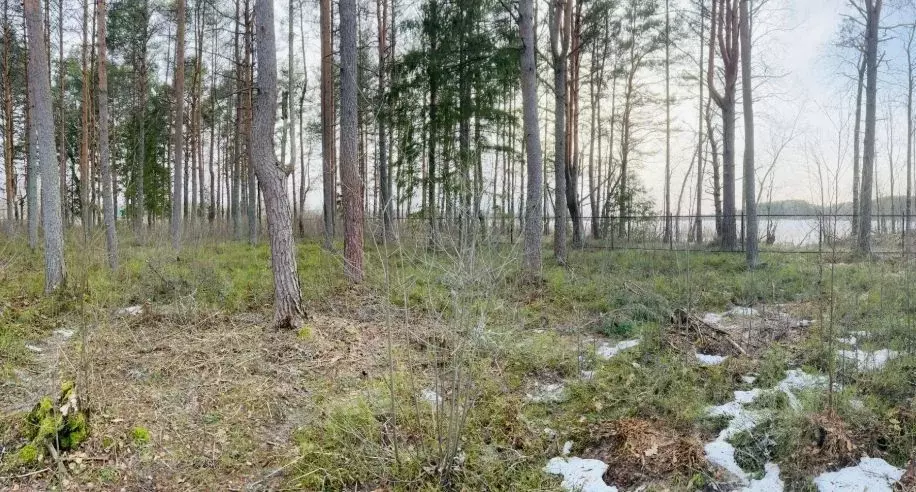 Участок в Тверская область, Осташковский муниципальный округ, д. Гуща  ... - Фото 2