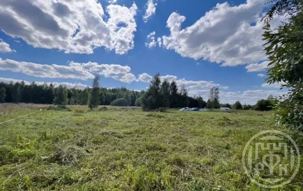 Участок в Ленинградская область, Ломоносовский район, Лопухинское ... - Фото 1