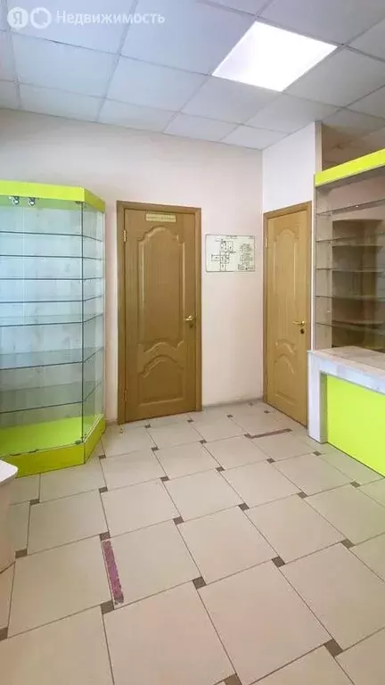 Помещение свободного назначения (255.8 м) - Фото 2