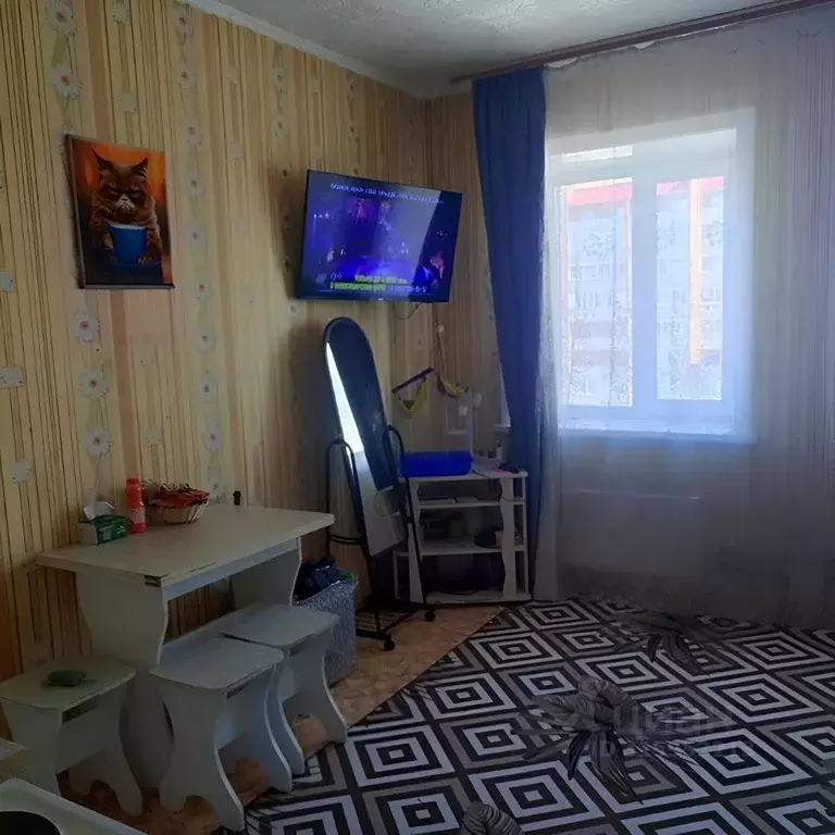 Студия Новосибирская область, Искитим Советская ул., 283 (26.0 м) - Фото 0
