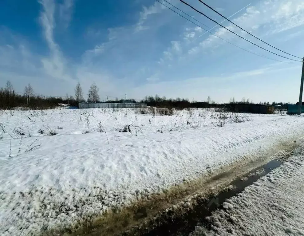 Участок в Тюменская область, Тюмень Большое Царево-1 СНТ,  (9.72 сот.) - Фото 2
