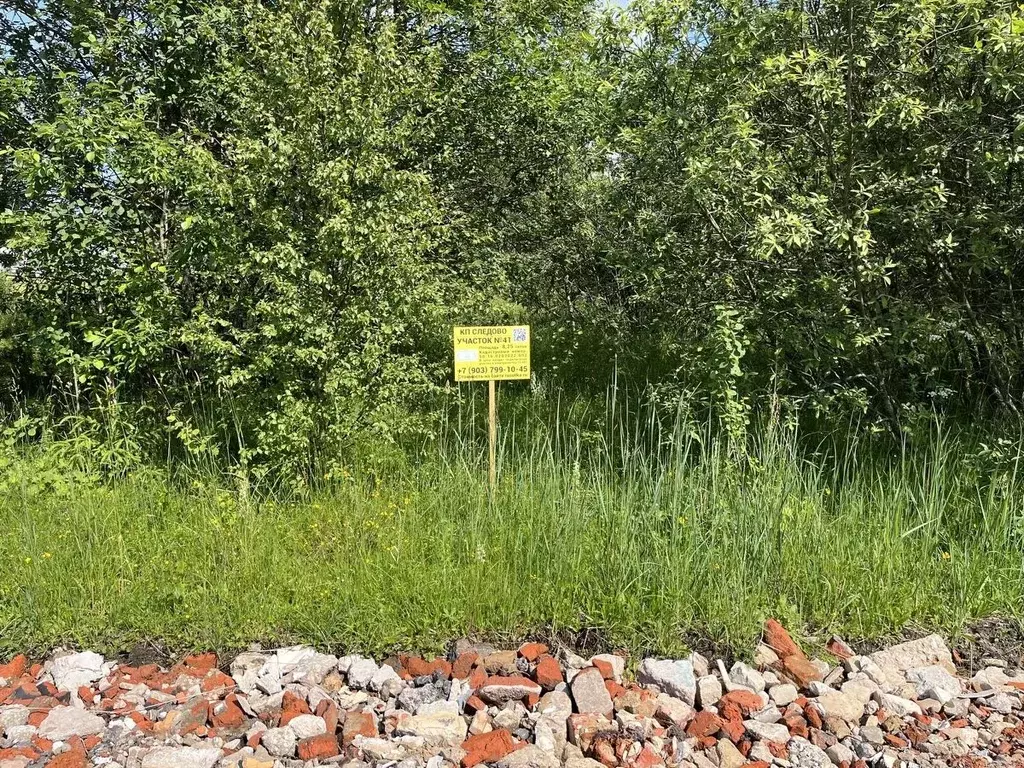 Участок в Московская область, Богородский городской округ, Следово кп ... - Фото 2