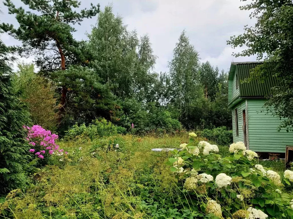 Дом в Ленинградская область, Всеволожское городское поселение, Новик ... - Фото 0