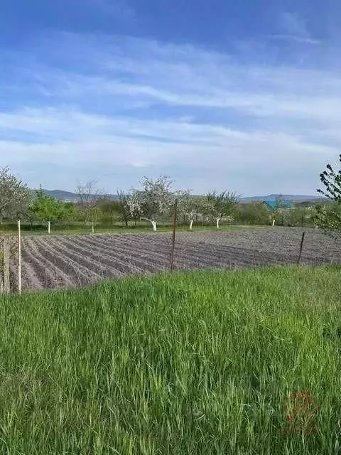 Участок в Краснодарский край, Новороссийск городской округ, ... - Фото 0