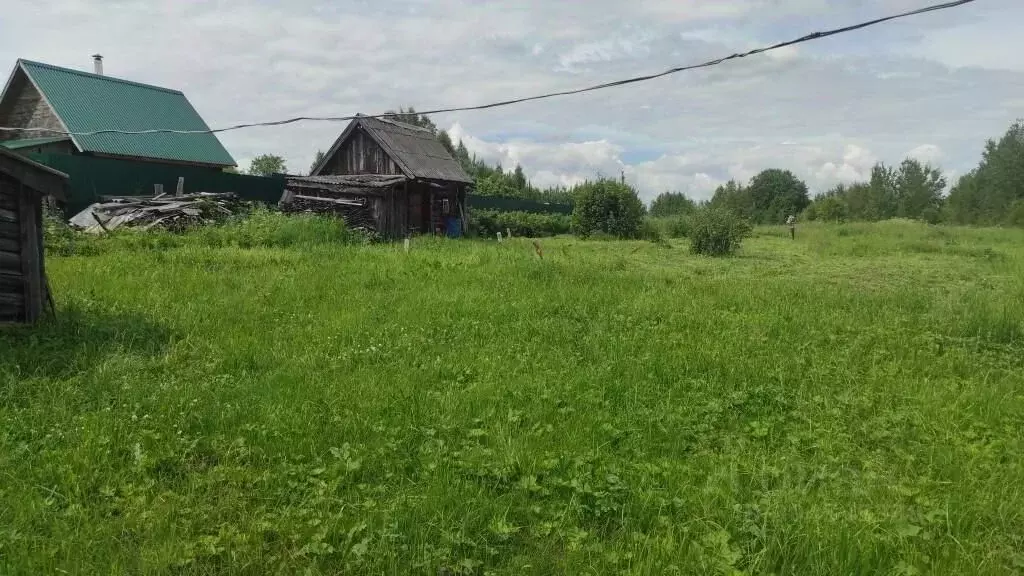 Дом в Владимирская область, Судогодский район, Муромцевское ... - Фото 1