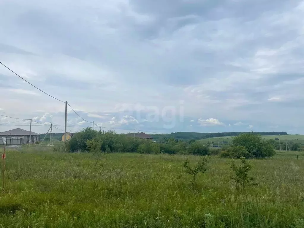 Участок в Белгородская область, Яковлевский муниципальный округ, ... - Фото 1