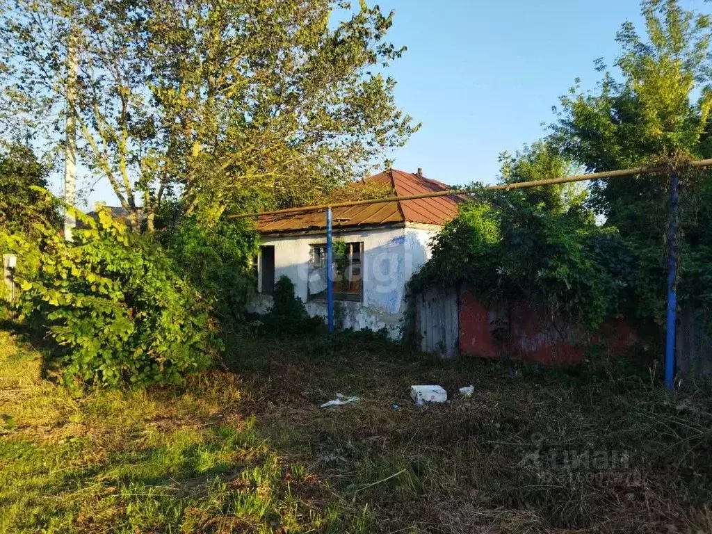 Участок в Белгородская область, Волоконовский район, Пятницкое рп ... - Фото 2