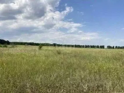Участок в Ульяновская область, Чердаклинский район, Белоярское с/пос, ... - Фото 0