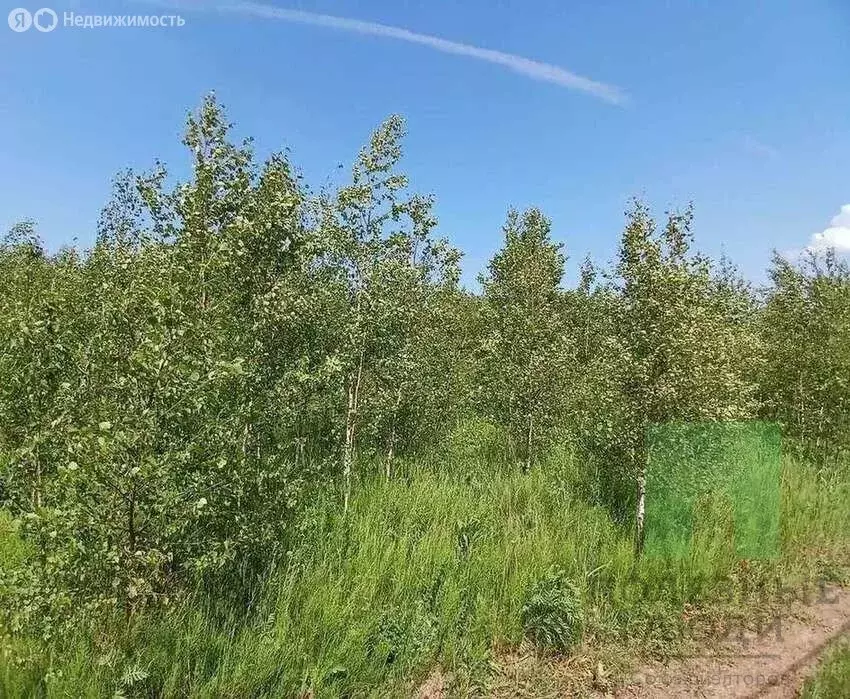 Участок в Медведевский район, Азяковское сельское поселение, деревня ... - Фото 1