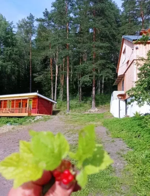 Дом в Карелия, Лахденпохский муниципальный округ, пос. Хийтола ул. ... - Фото 1