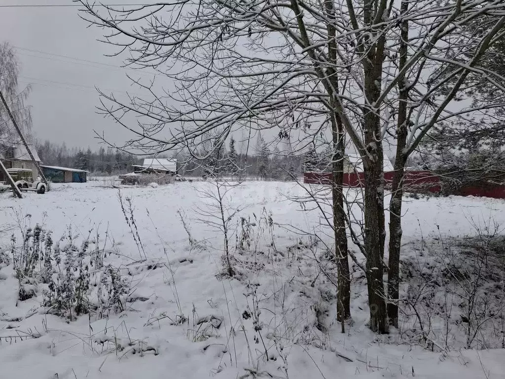 Участок в Ленинградская область, Киришский район, Будогощское ... - Фото 1