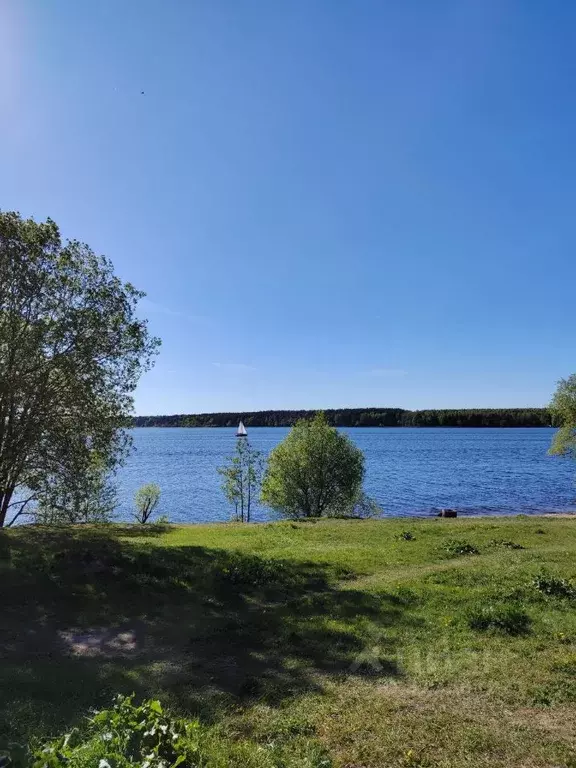 1-к кв. Тверская область, Конаково ул. Набережная Волги, 36 (33.8 м) - Фото 1
