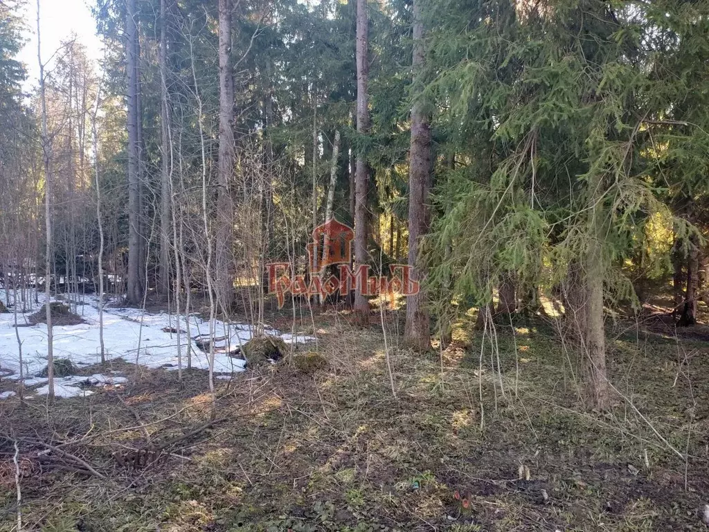 Участок в Московская область, Пересвет Сергиево-Посадский район, ул. ... - Фото 2