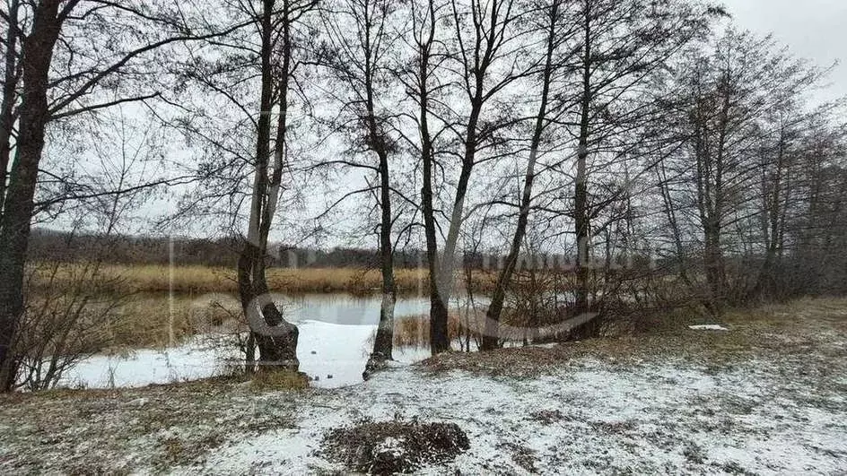 Участок в Воронежская область, Рамонь рп ул. Тутукова, 51 (14.0 сот.) - Фото 0