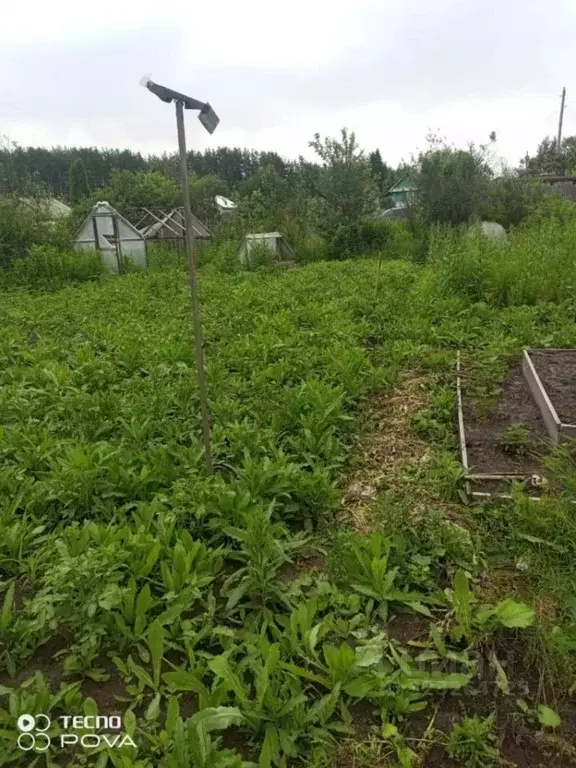 Участок в Свердловская область, Тавда 50 лет Октября сад,  (5.9 сот.) - Фото 1