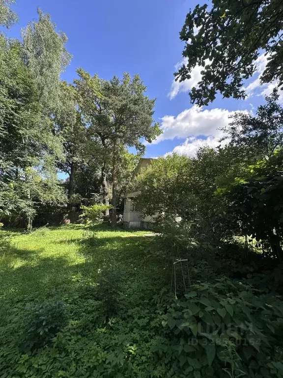 Участок в Московская область, Балашиха Салтыковка мкр, ул. Лесной ... - Фото 2