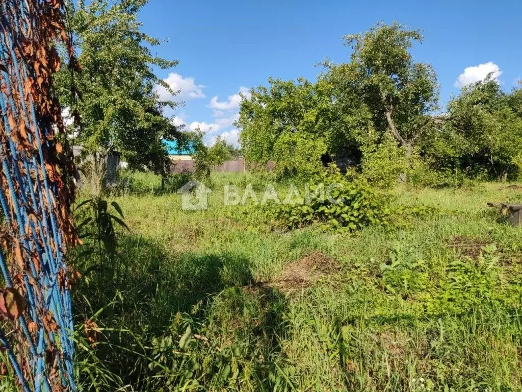 Участок в Пензенская область, Пензенский район, Воскресеновский ... - Фото 2