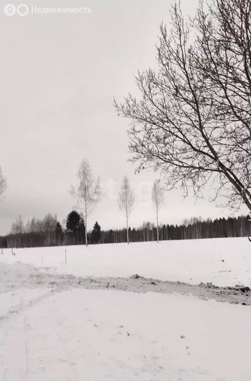 Участок в Пермский край, Добрянский муниципальный округ, деревня ... - Фото 1