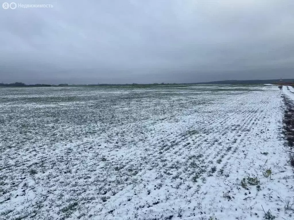 Участок в село Сокуры, Дачная улица (6 м) - Фото 1