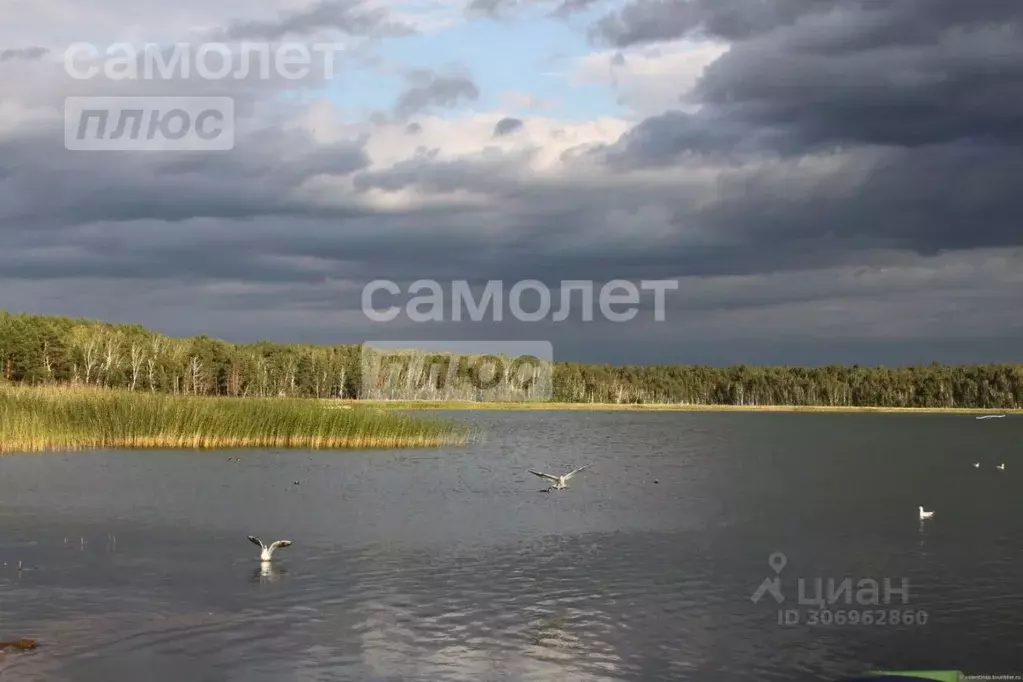 Участок в Челябинская область, Увельский район, с. Хомутинино ул. ... - Фото 0